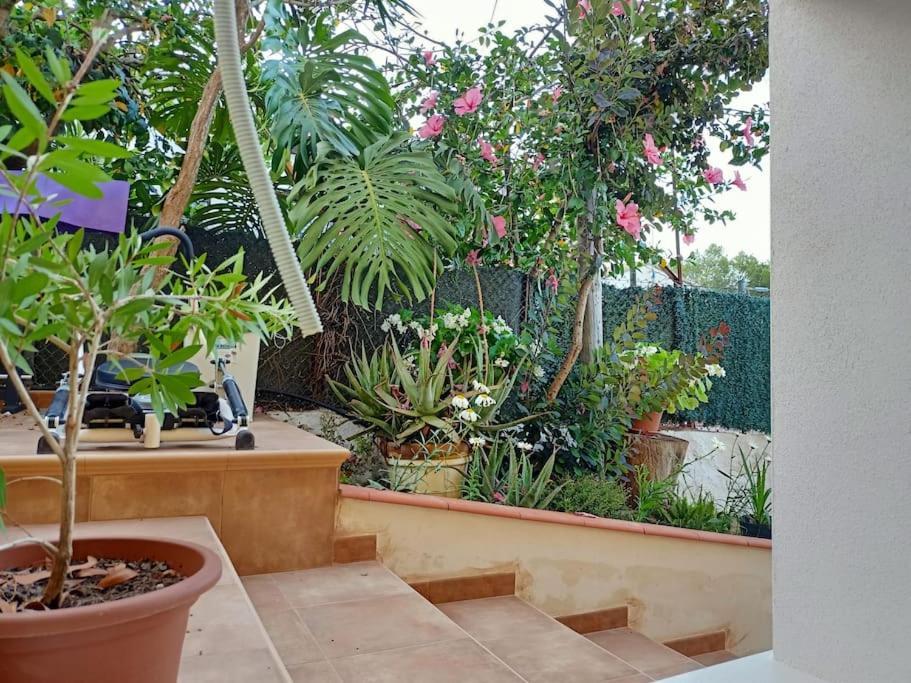 Villa Falconera Apartaments, Gandia A Las Faldas De La Montana Exterior foto