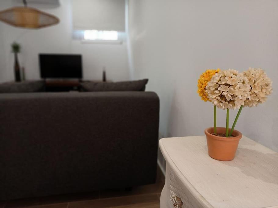 Villa Falconera Apartaments, Gandia A Las Faldas De La Montana Exterior foto