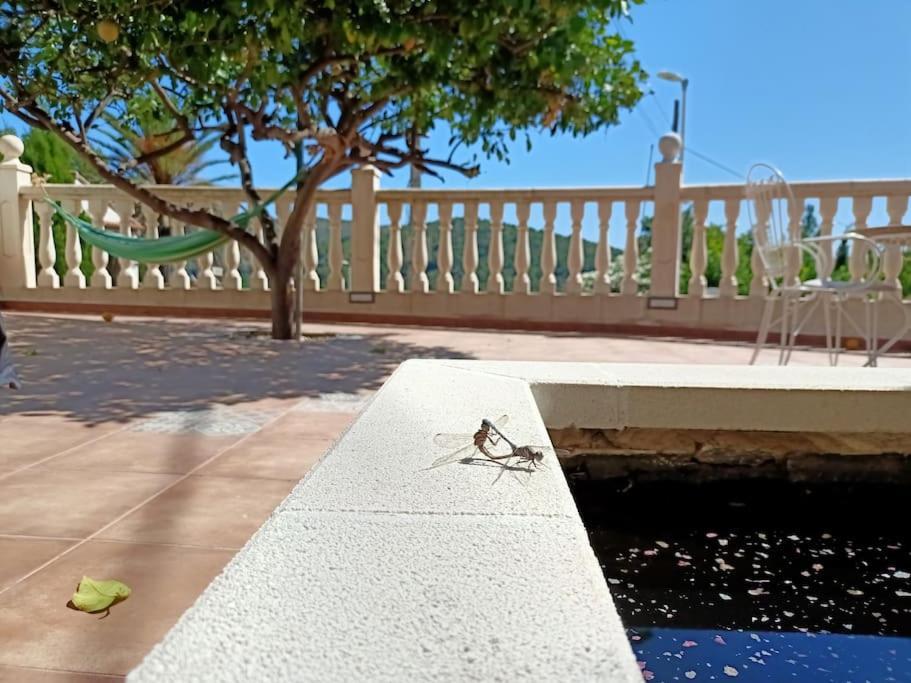 Villa Falconera Apartaments, Gandia A Las Faldas De La Montana Exterior foto